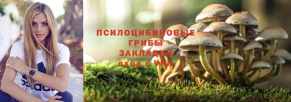 ПСИЛОЦИБИНОВЫЕ ГРИБЫ Бородино
