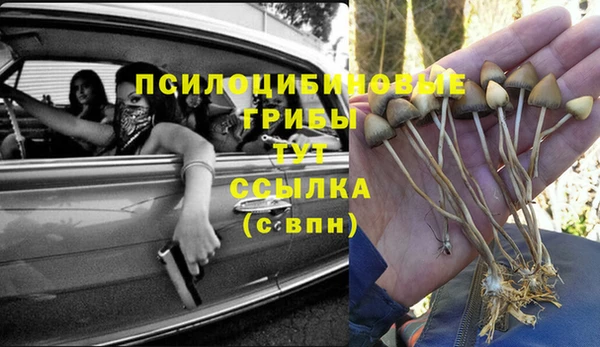 гашик Верхний Тагил