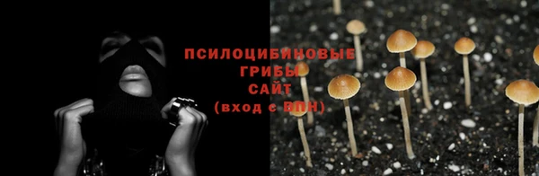 гашик Верхний Тагил