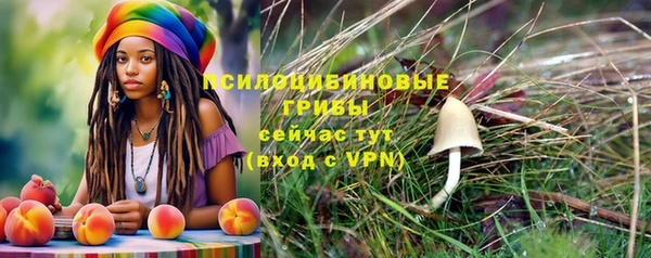 ECSTASY Верея