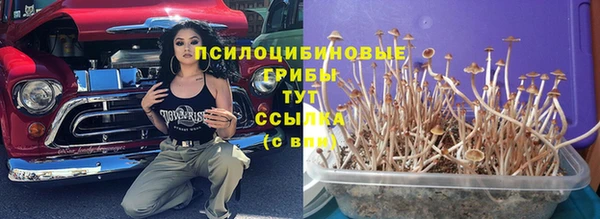 гашик Верхний Тагил