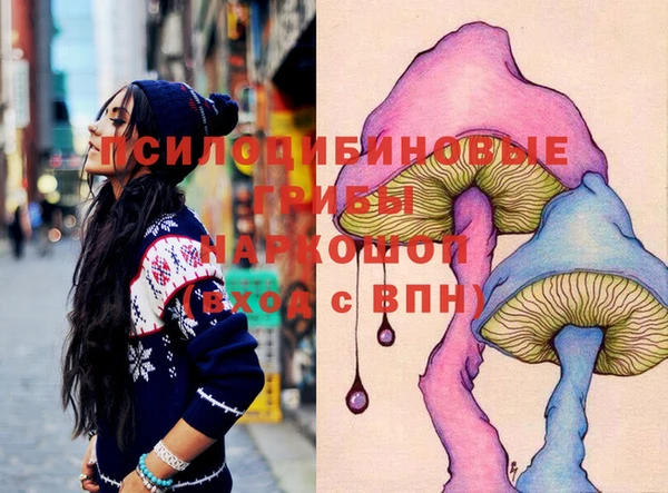 гашик Верхний Тагил
