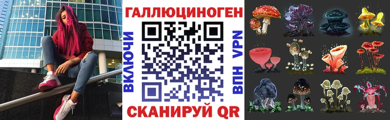 Псилоцибиновые грибы Psilocybine cubensis  закладка  Кедровый 